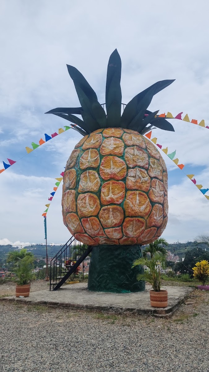 Mi Pueblito Restaurante Campestre-4